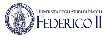 Logo of University of Naples Federico II